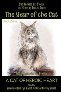 #7 Year of the Cat ebook cover